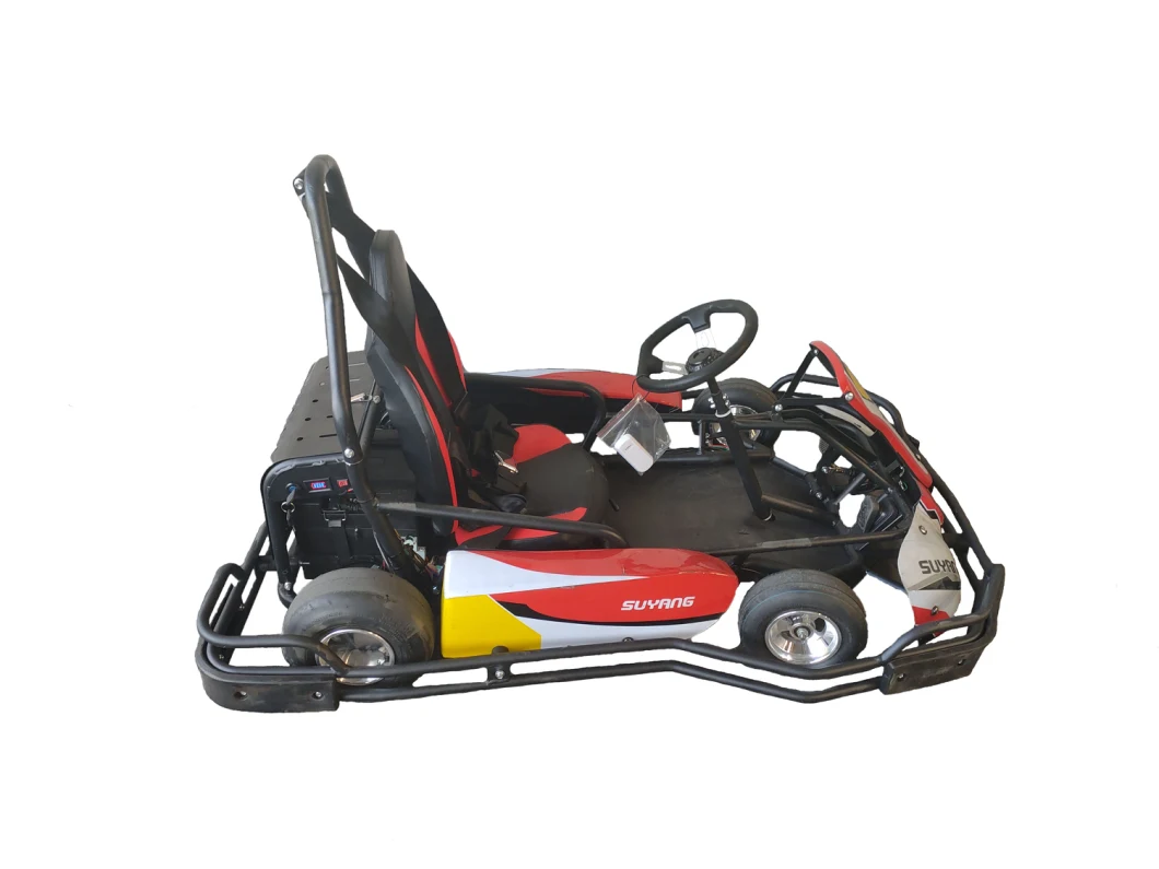 Suyang New 36V 35ah Engine Electric Kids Gas Go Kart for Sale