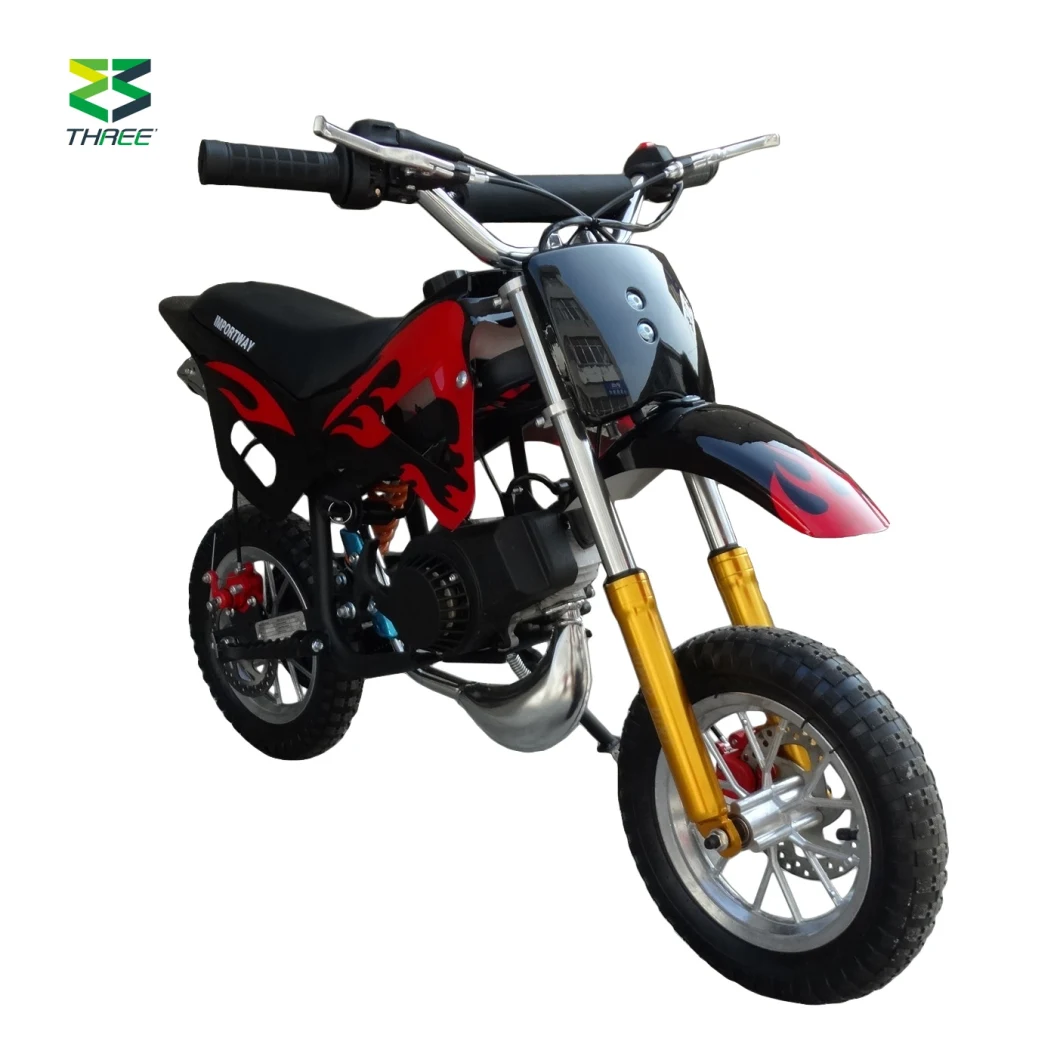 Sro Factory 49cc 2 Stroke Mini off Road Gas Motorbike Dirt Bike for Sale