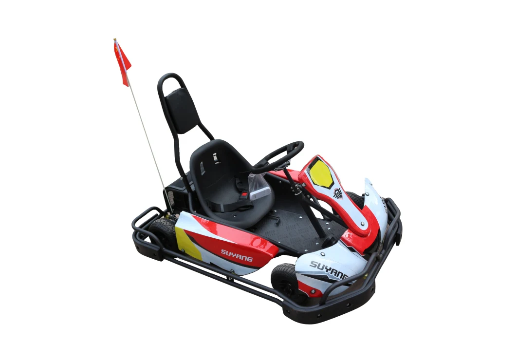 Suyang New 36V 35ah Engine Electric Kids Gas Go Kart for Sale