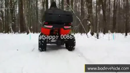 Новый электрический квадроцикл Bode мощностью 5000 Вт 4X4