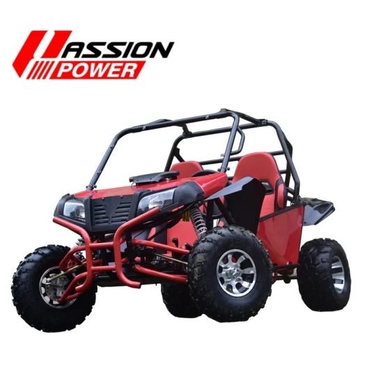 Бензиновый 4-тактный 150/200/300cc Racing Dune Buggy Off-Road Go Kart для взрослых