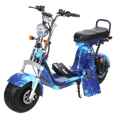 Новый стиль Fat Tire Electric Scooter City Coco Citycoco с электрическим скутером CE (cp1.2)