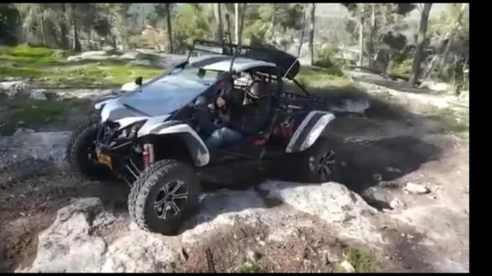 500cc 4X4 28 кВт Doppelsitze Offroad Dune Buggy UTV Go Kart